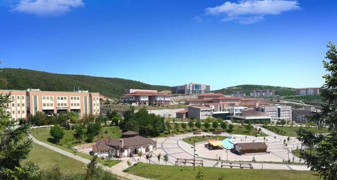 Düzce Üniversitesi Hemşirelik