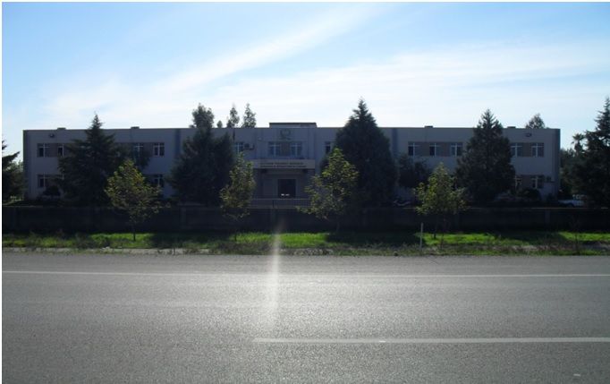 Dokuztekne Şehit Adem Çoban İlkokulu 