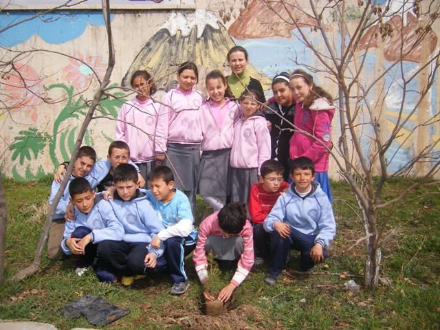 Yuva İlkokulu 