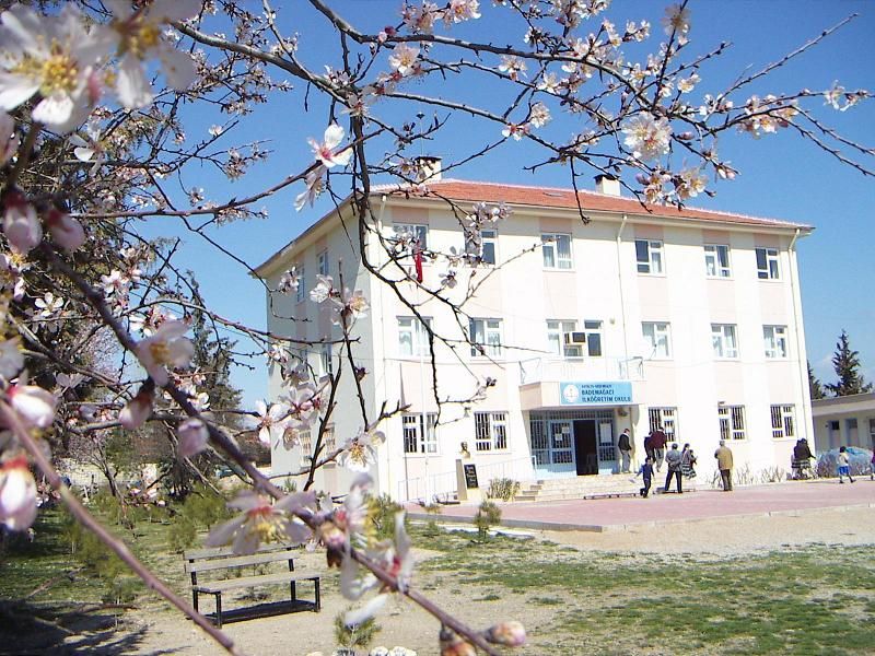 Bademağaci Ortaokulu 