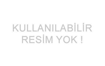 Altınova İlkokulu 
