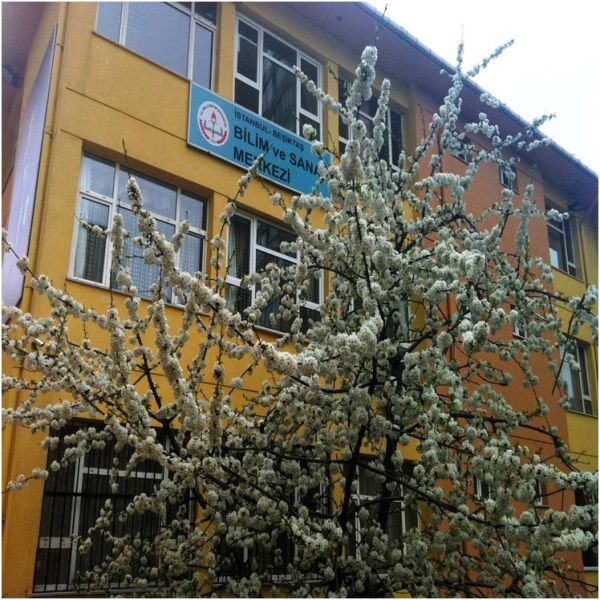 Beşiktaş Bilim Ve Sanat Merkezi 