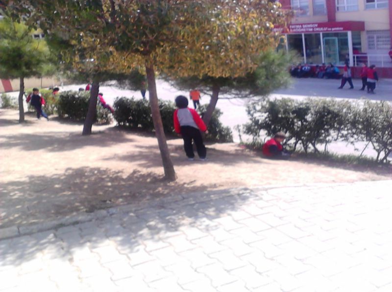 Fatma Şensoy İlkokulu 