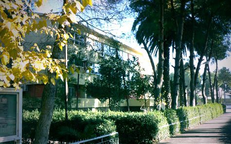 Menemen Atatürk Anadolu Lisesi 