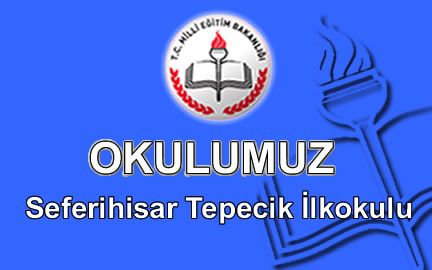 Tepecik İlkokulu 