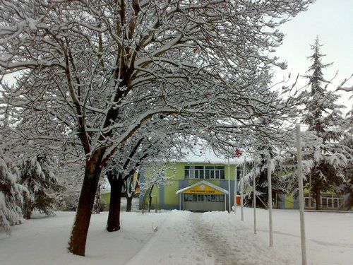 Çelikhan Çok Programlı Anadolu Lisesi 