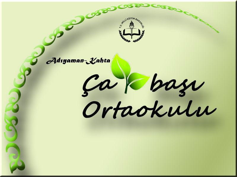 Çaybaşı Ortaokulu 