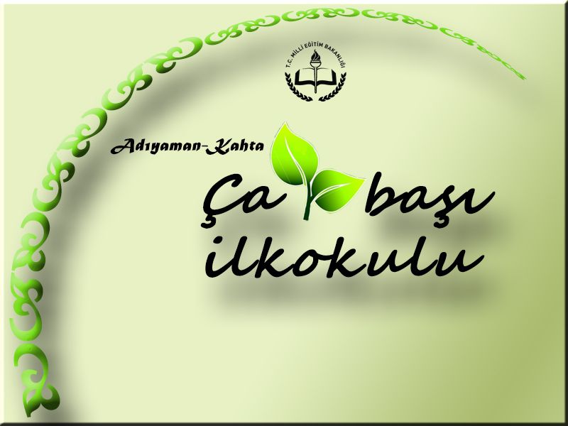 Çaybaşı İlkokulu 