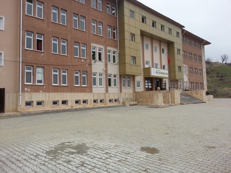 Çok Programlı Anadolu Lisesi 