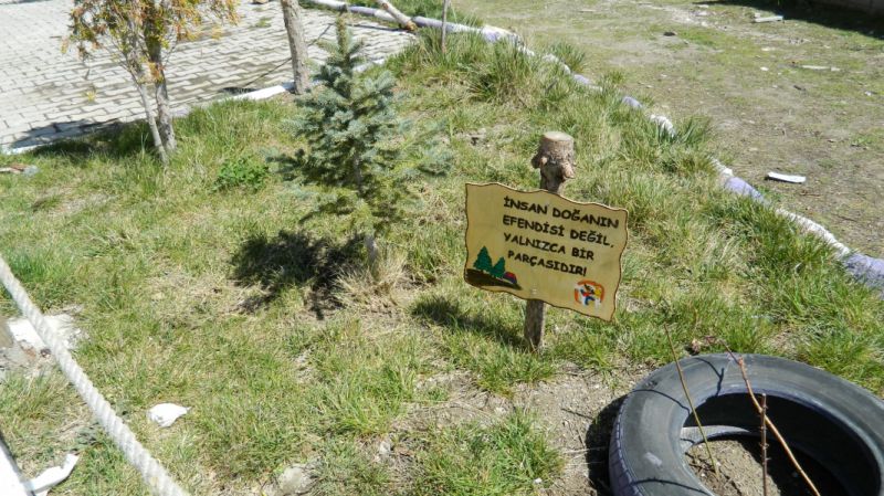 Bozdoğan Halımoru İlkokulu 