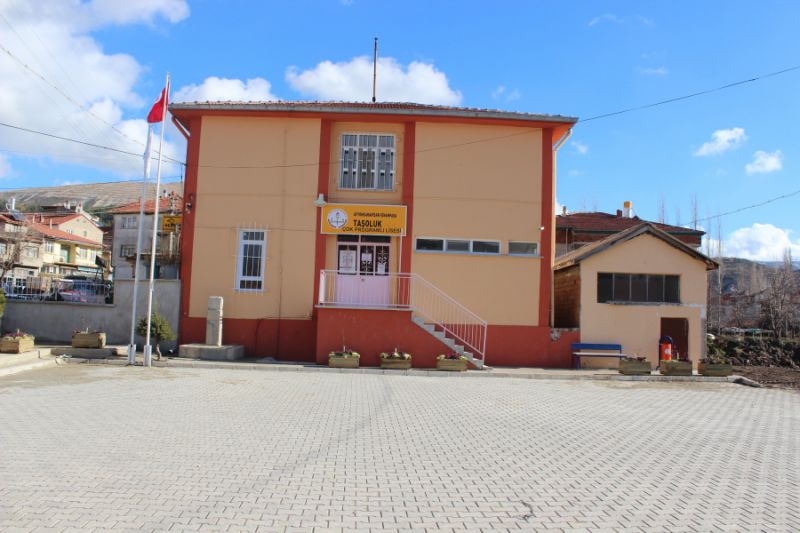 Taşoluk Çok Programlı Anadolu Lisesi 