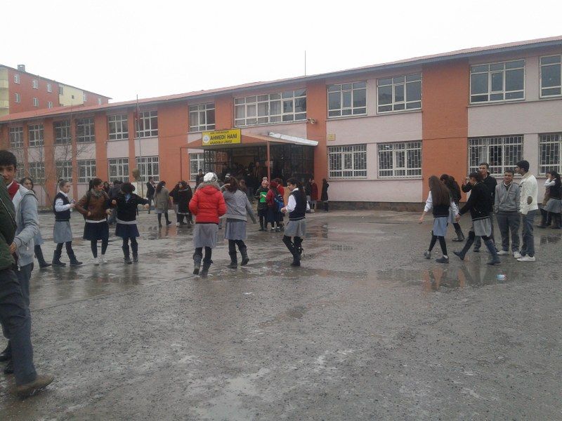 Ahmedi Hani Anadolu Lisesi 