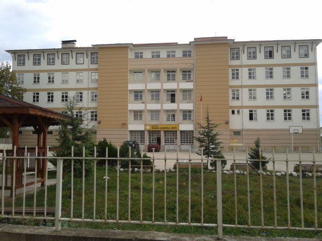 Taşova Anadolu Lisesi 