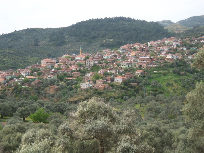 Dağyeni İlkokulu 