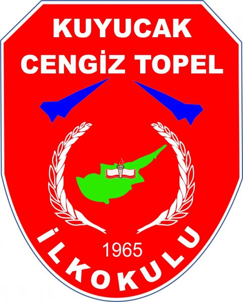 Cengiz Topel İlkokulu 