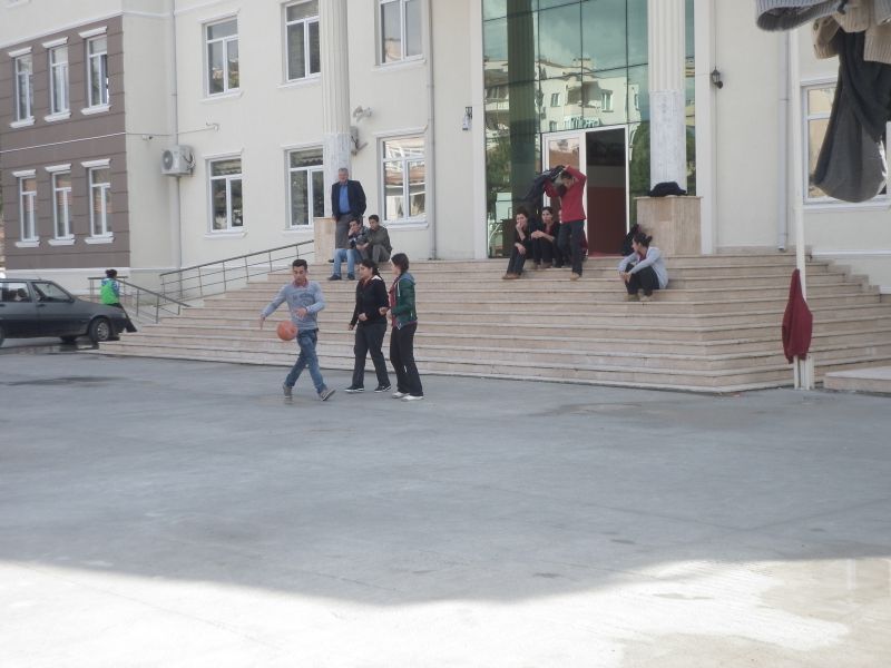 Altınova Çok Programlı Anadolu Lisesi 