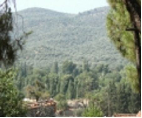 Bahadınlı Ortaokulu 