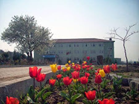 Miralay Bekir Samibey İlkokulu 