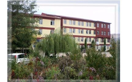 Söğüt Anadolu Lisesi 