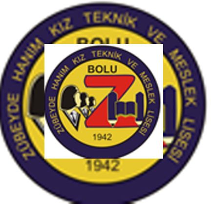 Zübeyde Hanım Mesleki Ve Teknik Anadolu Lisesi 