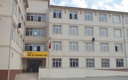 Çok Programlı Anadolu Lisesi 