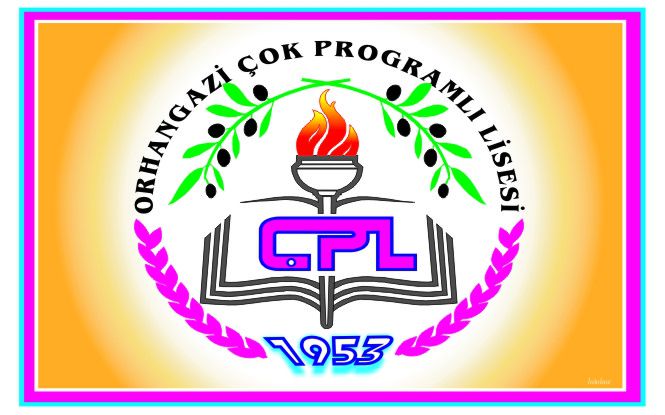 Orhangazi Çok Programlı Anadolu Lisesi 