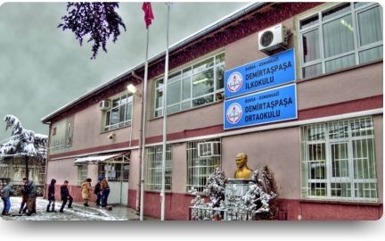 Demirtaşpaşa Ortaokulu 