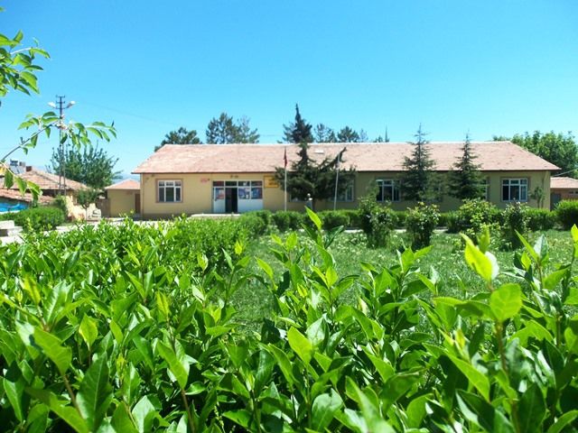 Laçin Çok Programlı Anadolu Lisesi 
