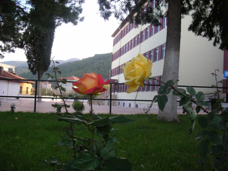 Zehra Suna Manasır Ortaokulu 