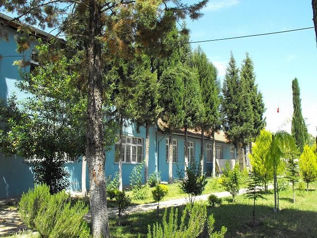 Akköy Çok Programlı Anadolu Lisesi 
