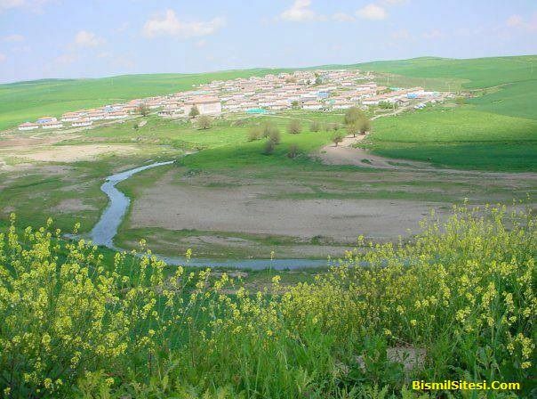 Alibey İlkokulu 