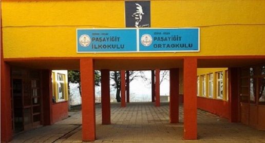 Paşayiğit İlkokulu 