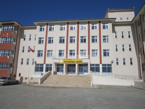 Karakoçan Anadolu Lisesi 