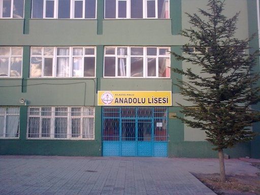 Palu Meslekî Ve Teknik Eğitim Merkezi 