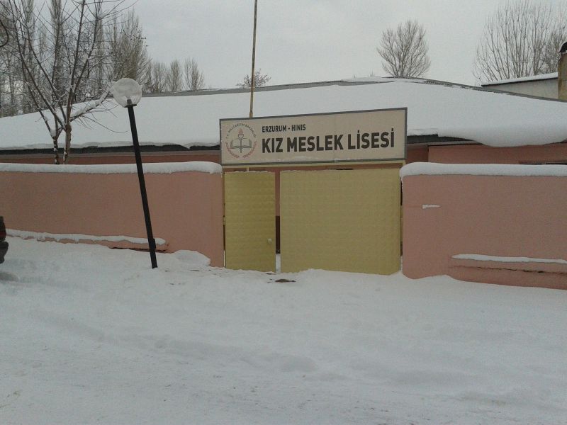 Hınıs Nenehatun Mesleki Ve Teknik Anadolu Lisesi 
