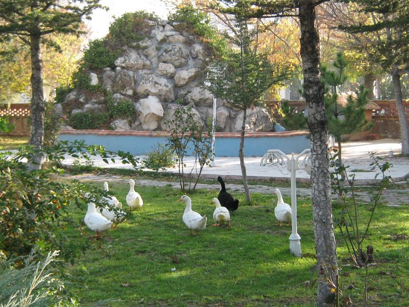 Öğretmen Evi Ve Akşam Sanat Okulu 