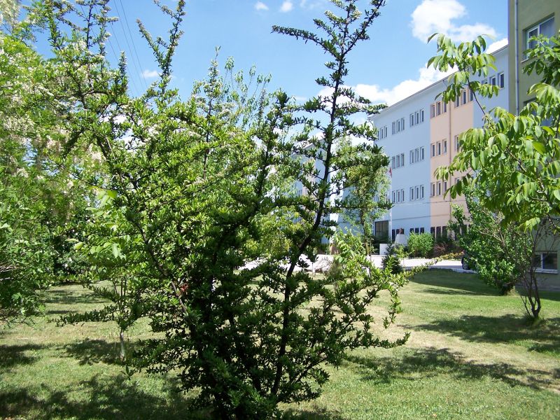 Eskişehir Fatih Fen Lisesi 