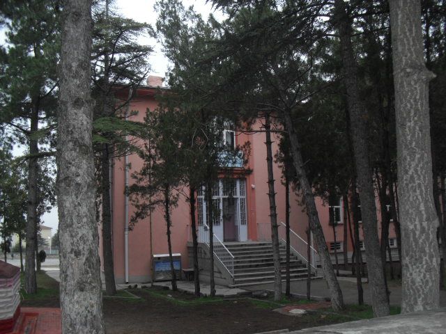 Atatürk İlkokulu 
