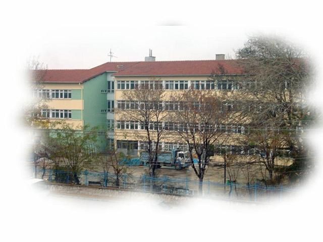Prof.dr. Orhan Oğuz Anadolu Lisesi 