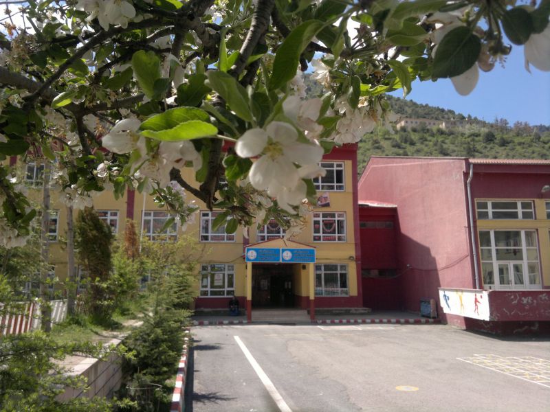Dumlupınar İlkokulu 