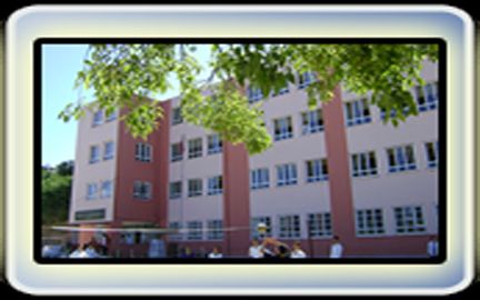 Yeşilpınar Mirioğlu Çok Programlı Anadolu Lisesi 