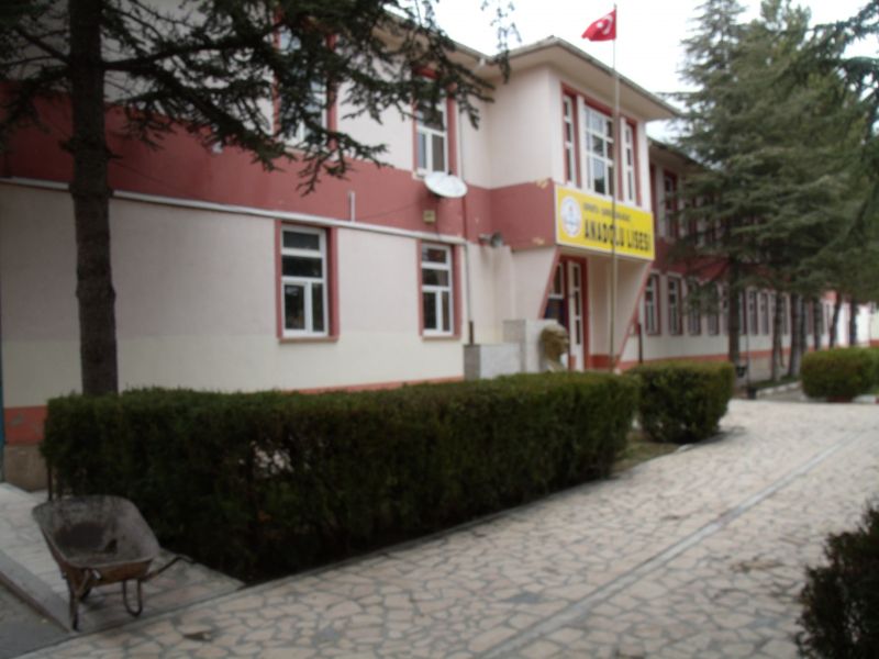 Şarkikaraağaç Anadolu Lisesi 