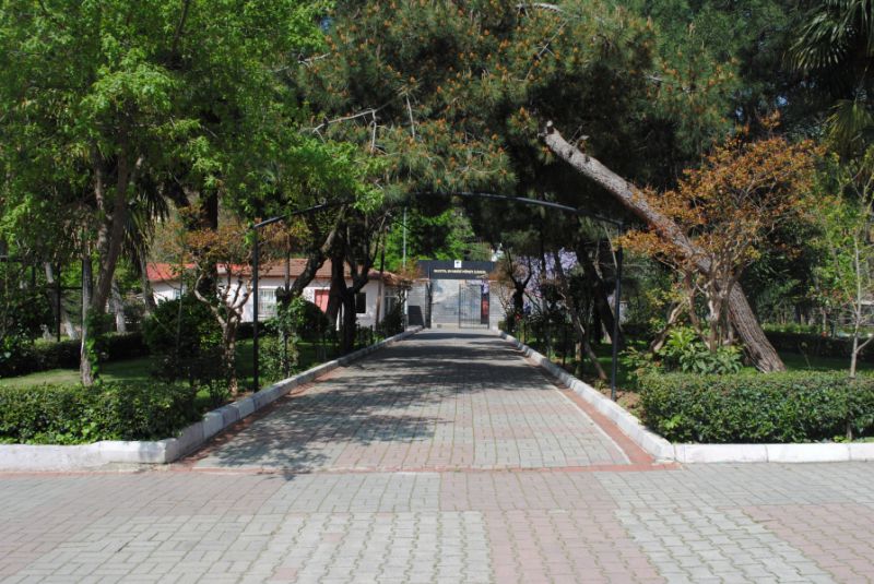 Erenköy Kız Anadolu Lisesi 