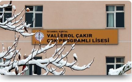 Kartal Vali Erol Çakır Çok Programlı Anadolu Lisesi 