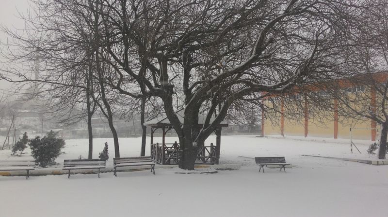 Habibler Anadolu Lisesi 