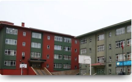 Ali Cevat Özyurt Ortaokulu 