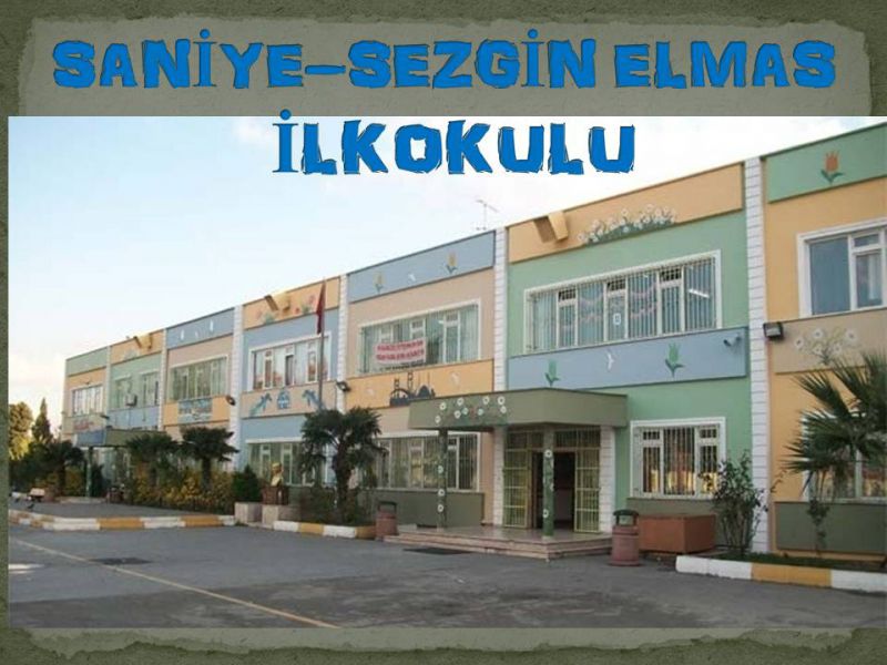 Saniye-Sezgin Elmas İlkokulu 